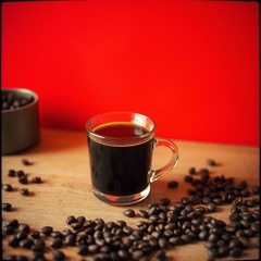 Coffee Snob