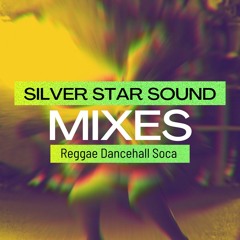 Reggae Dancehall Soca Mixes
