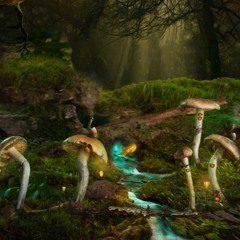 .Sacred  Mushroom.