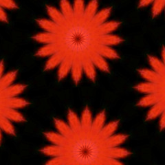 Face the Sun