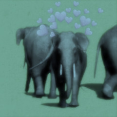 Elephant Greenscreen Effect Song (Slowed+Reverb)