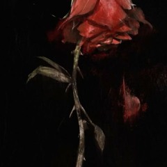 𝙈𝙞𝙡𝙝𝙤𝙧𝙖𝙨