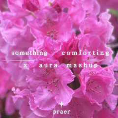 Something Comforting x Aura [praer mashup]