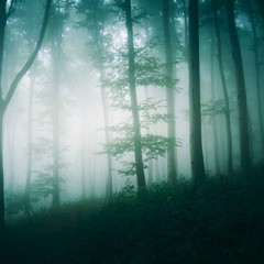 wednesday night interlude (cover/remix)