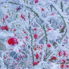 winter 2024