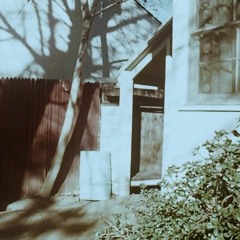Kouncillor's Cabin: XXVIII