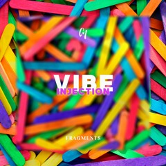 Vibe Injection - Fragments (Original Mix)