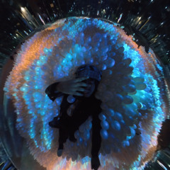 ELVIRA (WEB OF SHADOWS)