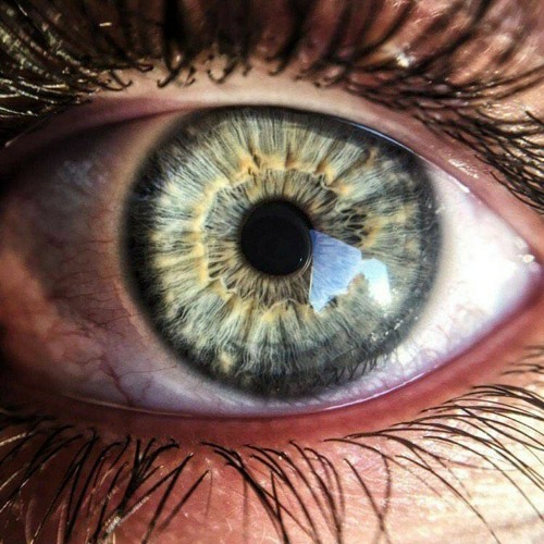 Tell me what you see