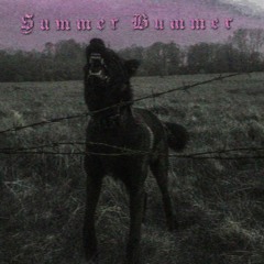 𝔖𝔲𝔪𝔪𝔢𝔯 𝔅𝔲𝔪𝔪𝔢𝔯 - 𝔏𝔞𝔫𝔞 𝔇𝔢𝔩 ℜ𝔢𝔶