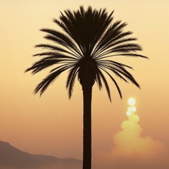 ‎⁨-أبو-ظبي⁩.Abu Dhabi