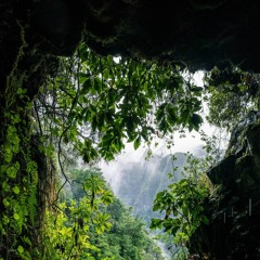 Hush (Cradles Remix Redone)