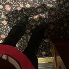 Kite - Bird Activity