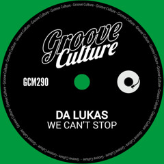 WE CAN'T STOP (Preview)