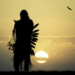 M a r o o n S i g n a l