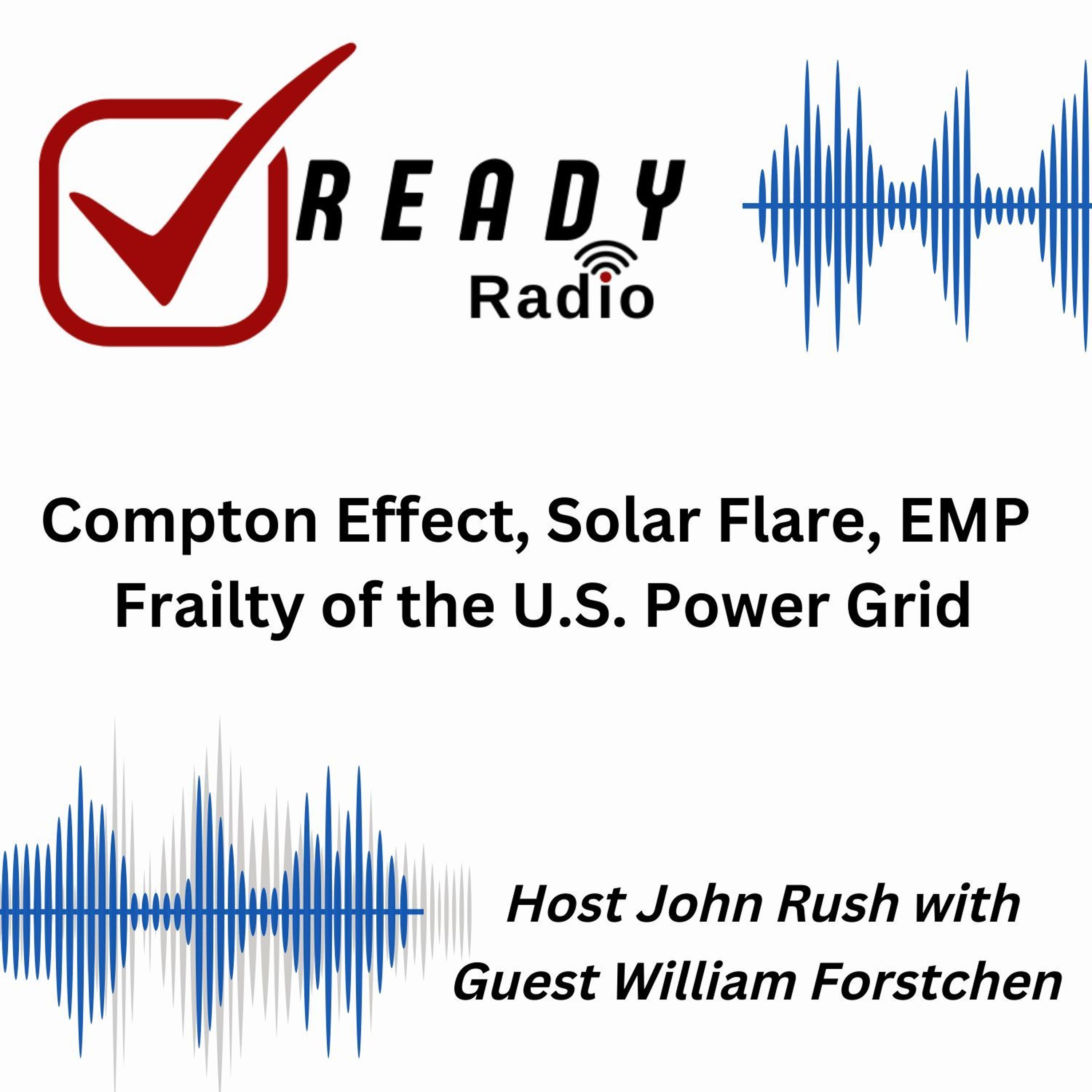READY RADIO: Frailty of the U.S. Power Grid with Guest William Forstchen 1-31-25 episode artwork