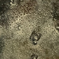 Transience