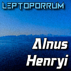Alnus Henryi