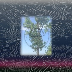 Concours Ajaz (instru Freestyle)