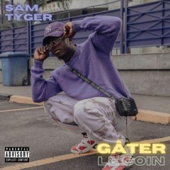 Copie de STE MILANO - Combine