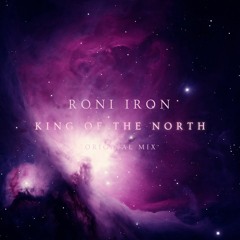 Roni Iron - King Of The North (Original Mix)