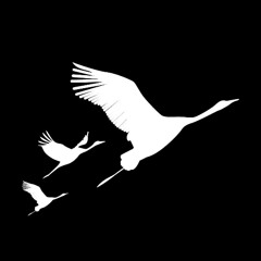 Сурганова - Песни военных лет - Журавли