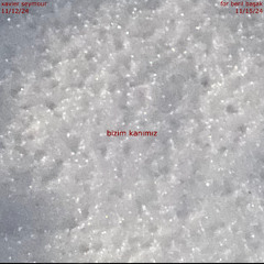 Snow in Beryl (draft unfinished)
