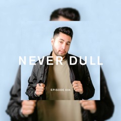 Future Disco Radio - 034 - Never Dull Guest Mix