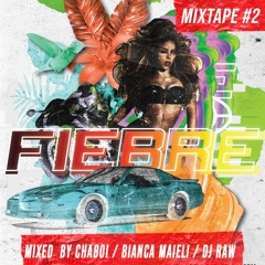 FIEBRE MIX VOL. 2