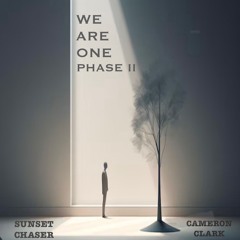 Ep. 44 "We Are One' Phase II" (Progressive Breaks,Electro, Nu Skool Breaks, Vinyl Mix)