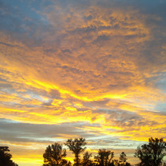 I fall for it every time (prod. lumenicon)