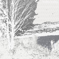 hppdj - golosa