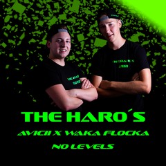 Avicii X Waka Flocka - No Levels ( THE HARO´s EDIT )