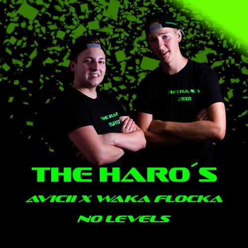 Avicii X Waka Flocka - No Levels ( THE HARO´s EDIT )