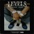 Artwork for Levels Sidhu moosewala