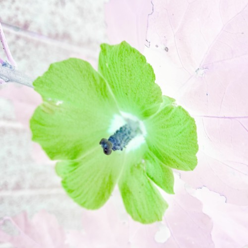 IMMERSE! (FT. KIRYOKU)