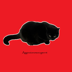 Aggressionsmanagment
