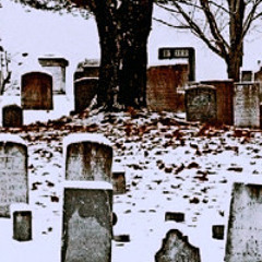 Die young