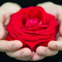 Romanticas De Bandas Mix 2022