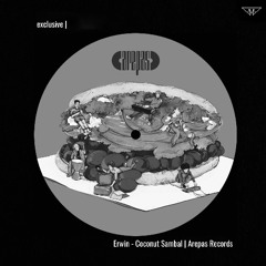 exclusive |  Erwin - Coconut Sambal | Arepas Records