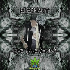 Elephant Artist 420