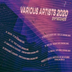 Various Artists 2020