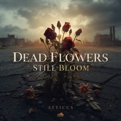 My Eyes Bleed | Dead Flowers Still Bloom