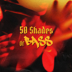 50 Shades Of Bass (Bad Behaviour Mix)