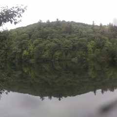 Tranquil Waters
