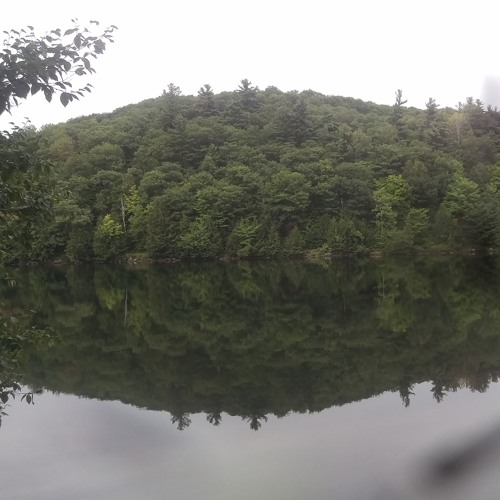 Tranquil Waters
