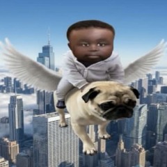 tasanski (zaylevelten fly cover )