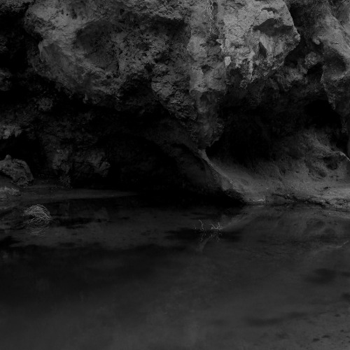 PREMIERE⚡️Polyklinik & Audio Compress - The Canyon [FREE SEQUENCE]