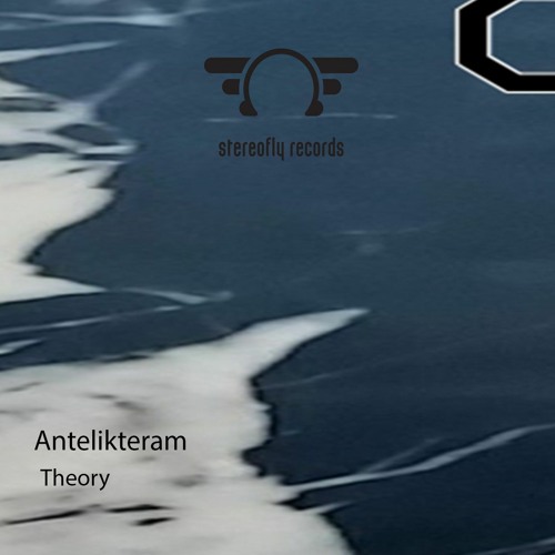 Theory :: on Stereofly Records
