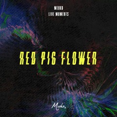 MEOKO Live Moments with Red Pig Flower - recorded @ Concrete Bar, Seoul (25/07/2020)